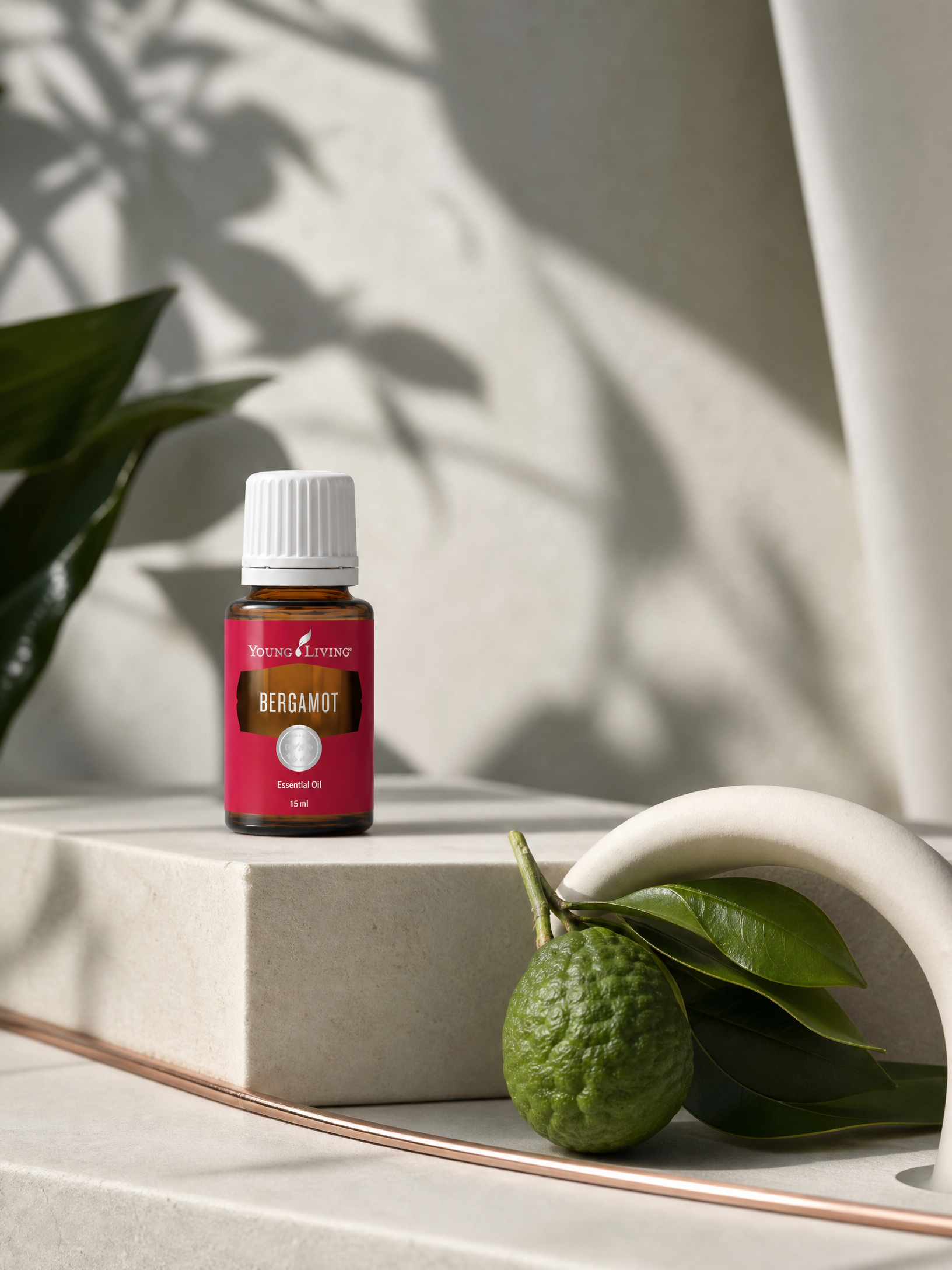 Bergamot 佛手柑 product presentation