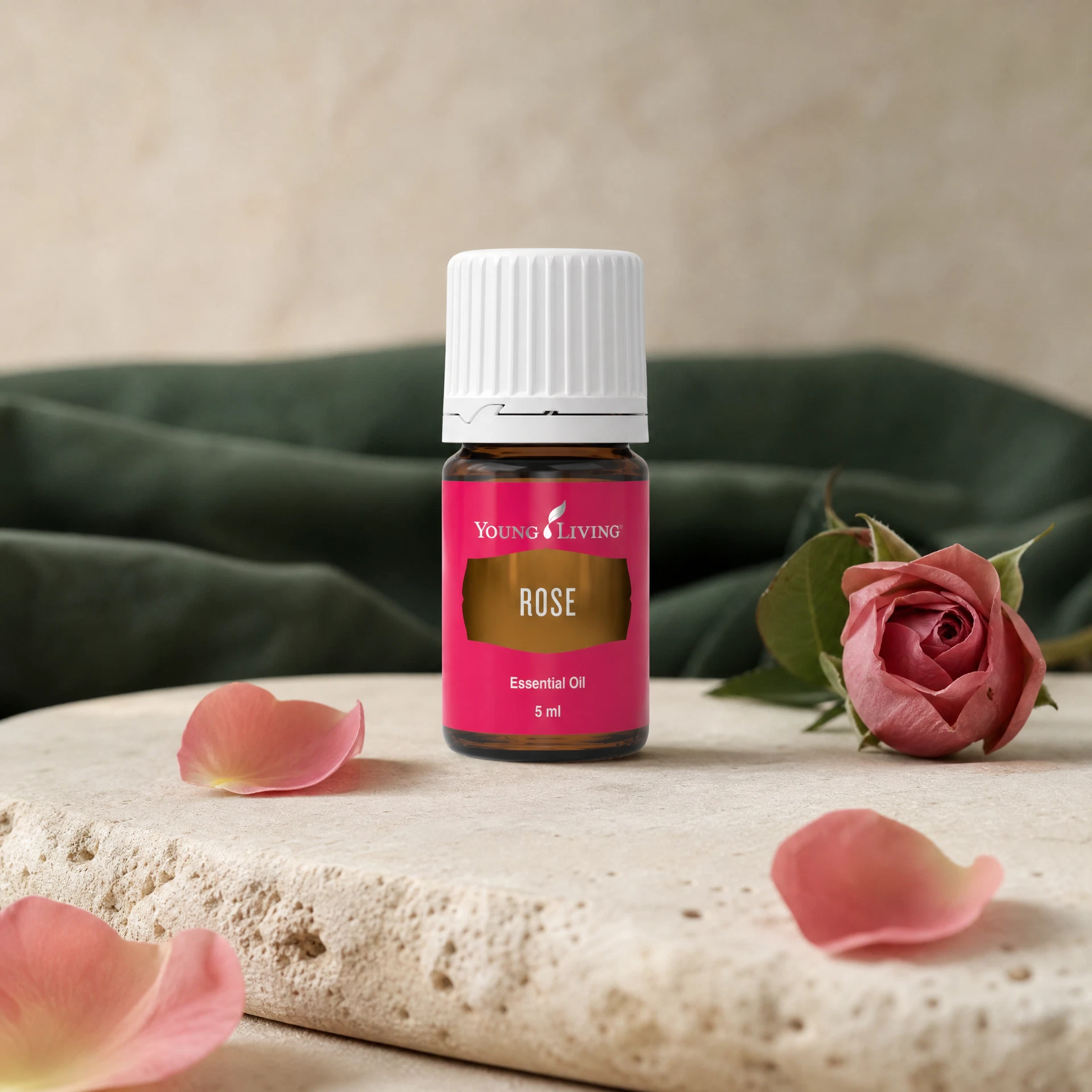 Rose 玫瑰 product presentation